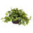15'' Faux Pothos Plant in Wood Planter