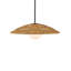 Barbary 1 - Light Pendant-690880056