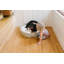 Lit pour chien Prancer