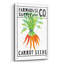 «Kitchen Garden Seed Packet 4» par Melissa Averinos, art mural en verre acrylique-271504377