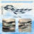 Metal Fish Wall Art