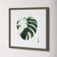 Variegated Monstera II by Grace Popp-2104103225-2104103202
