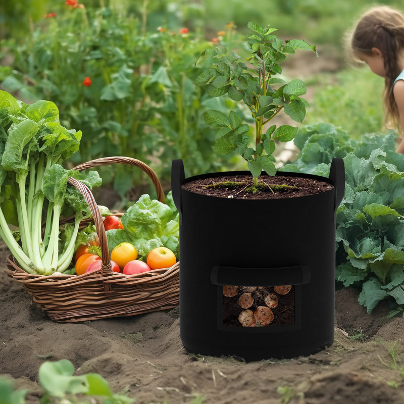 BTY Hydroponic Unit, Black