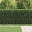 Powder-Coated Steel Fence Panels Included-124587418