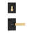 Satin Brass/Matte Black