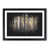 Black Framed selected