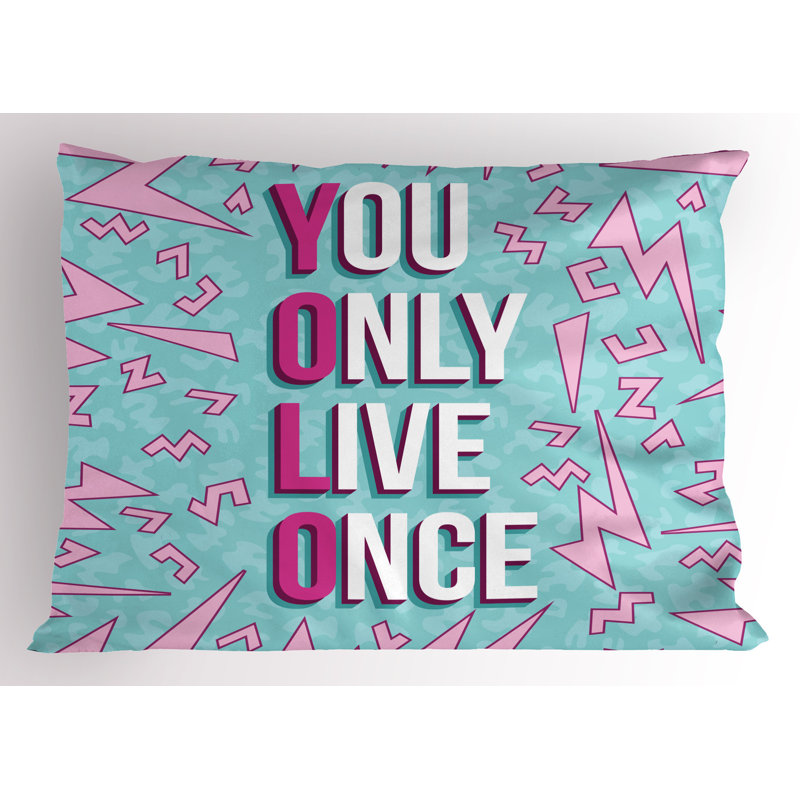 Ensemble de 2 taies décoratives et mots abstraits Ambesonne YOLO - rose pâle / bleu pâle, H 20 po x l 36 po