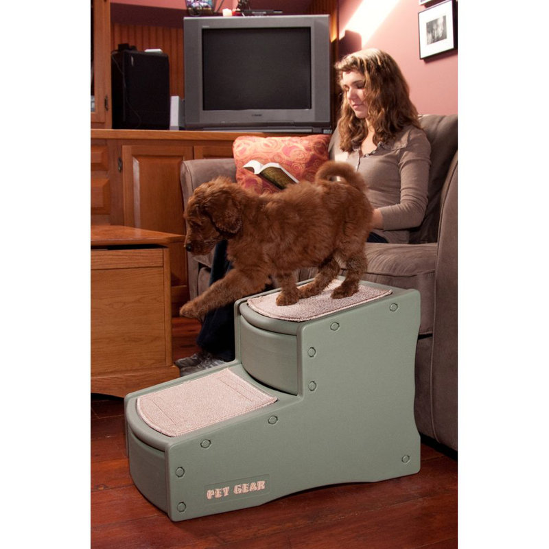 Sage Green Plastic 2-Step Pet Stairs with Carpet Tread