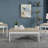 Coffee Table Set