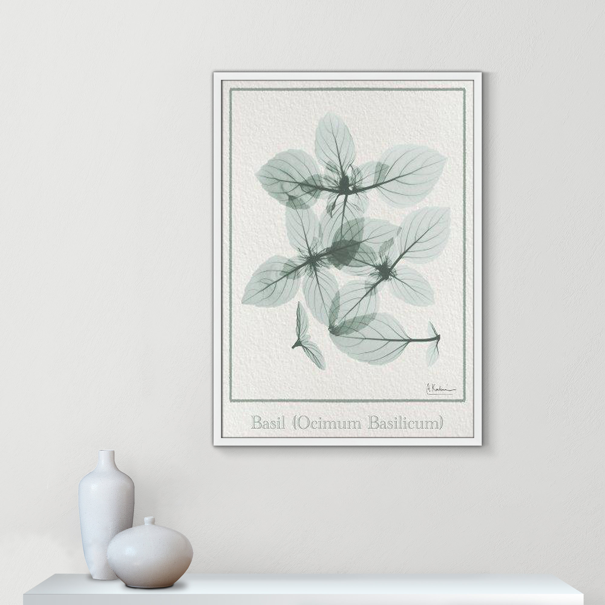 Basil Ocimum Basicicum Framed On Paper by Albert Koetsier Print, 35.5" H x 25.5" W x 1.25" D, Satin White Framed Paper