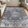 Dragomira Washable Oriental Indoor Rug