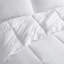 Édredon en duvet de coton à densité de tissage 300 fils Winfield Luxury-29839491-94946961