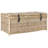 Caden 46" Wicker Storage Trunk-820826684