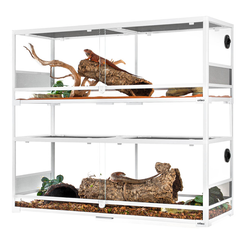 Reptile Starter Kit