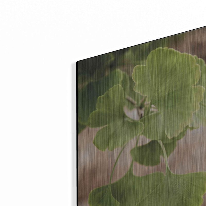 «Sprouting Ginkgo IV» par Debra Van Swearingen, H 16 po x l 12 po