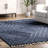 Risette Geometric Shag Tassel Area Rug-617154741