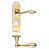 Polished Brass