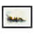 Black Framed selected