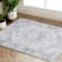 Chenille Mashine Washable Oriental Indoor Arae Rug with Non-Slip Backing for Bedroom Living Room Kitchen Entryway