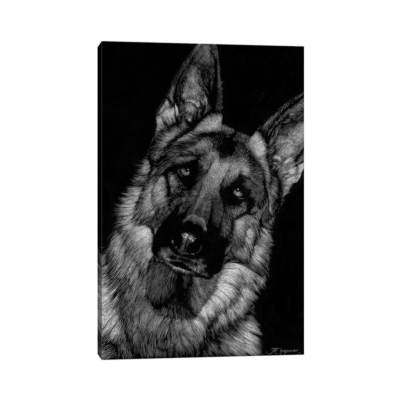 Canine Scratchboard II 1 Piece Wrapped Canvas Wall Art, 20.32 cm H x 30.48 cm W