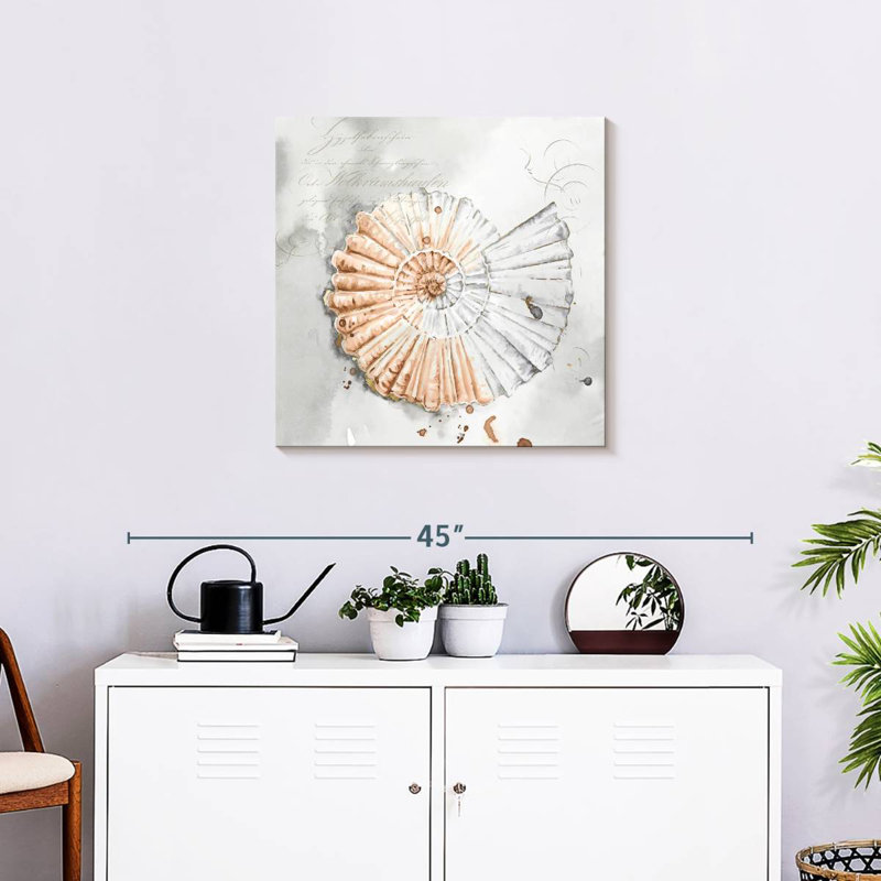 Aletra Blush Shell II, 24" H x 24" W