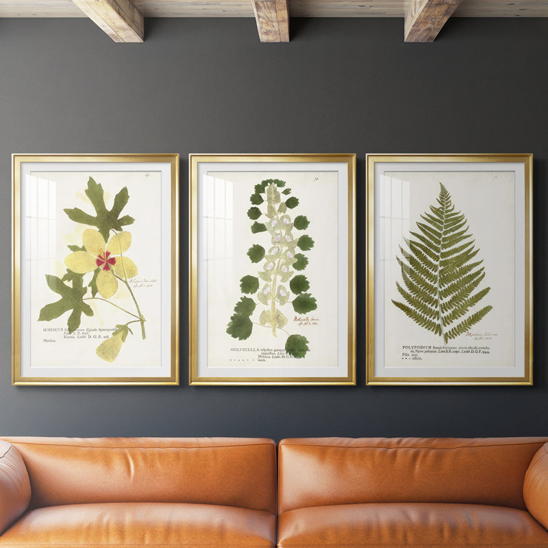 Nature Printed Botanicals douzième, H 15 po x l 19 po, Doré
