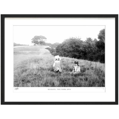 Reigate, the Park 1894 1 Piece Single Picture Frame Wall Art