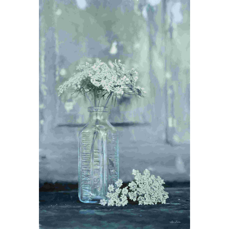 Queen Anne's Lace II 2885871, L 12 po x H 18 po