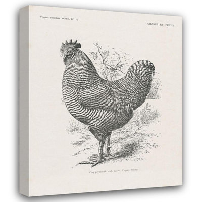 Rosalind Wheeler Wild Apple Portfolio Gallery Wrapped Canvas Art Titled: Vintage Farm Life III