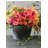 Foliage Arrangement