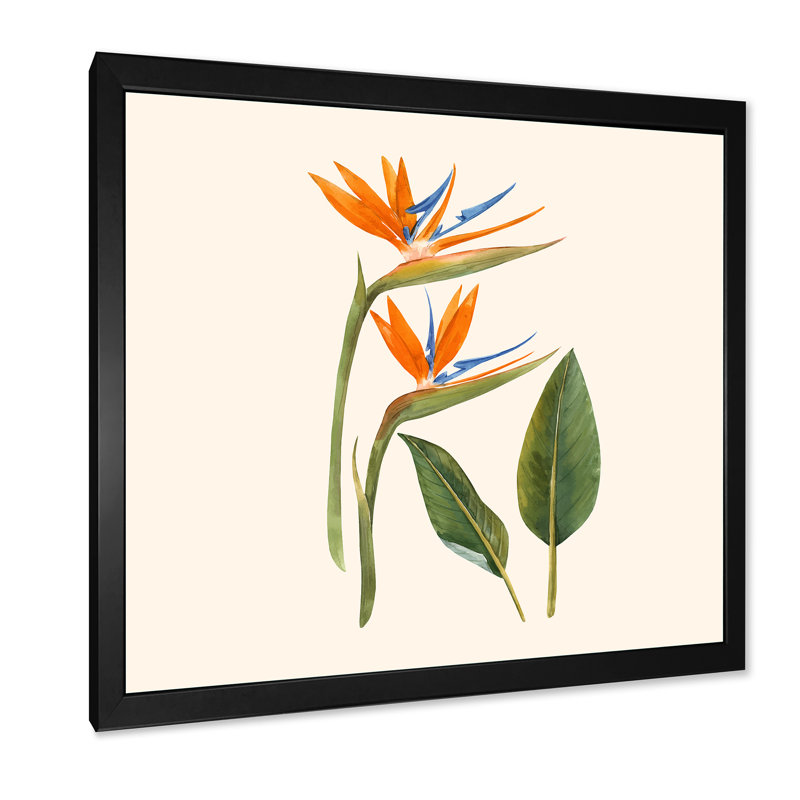 Fleurs de strelitzia rétro - impression sur toile, H 30 po x l 30 po x P 1 po, Cadre photo noir