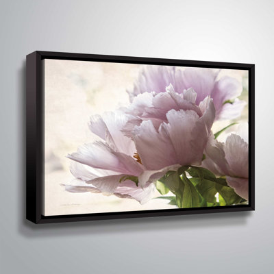 " Translucent Peony I "