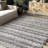 Striped Indoor Rug-1995783740