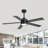 Beil Large Modern Ceiling Fan with Light Kit and Remote Control, 3 LED Colours, 6 Speed Noiseless DC Motor, 5 Plywood Blades, for Indoor/Covered Outdoor Use-1556980191-1556980188-1595520266