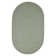 Neufeld Braided Fog Green Indoor/Outdoor Area Rug