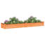 Averion Wood Raised Garden Bed-1098826681-1098826682