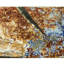 Brookhaven One-of-a-Kind 8'1" X 10'3" Area Rug