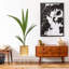 Iron 1 Tier Plant Stand