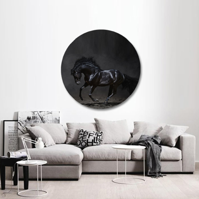 Étalon noir - photographie encadrée, H 36 po x l 36 po