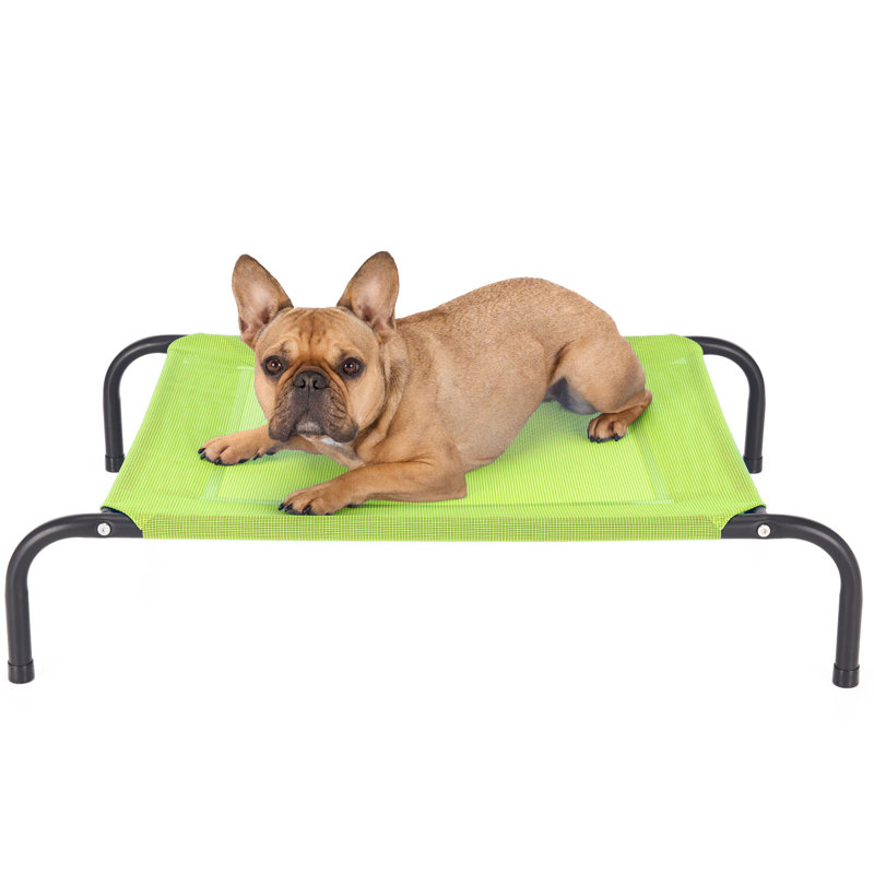Elevated Cot Pet Bed, 8" H x 25.5" W x 36" D, Green