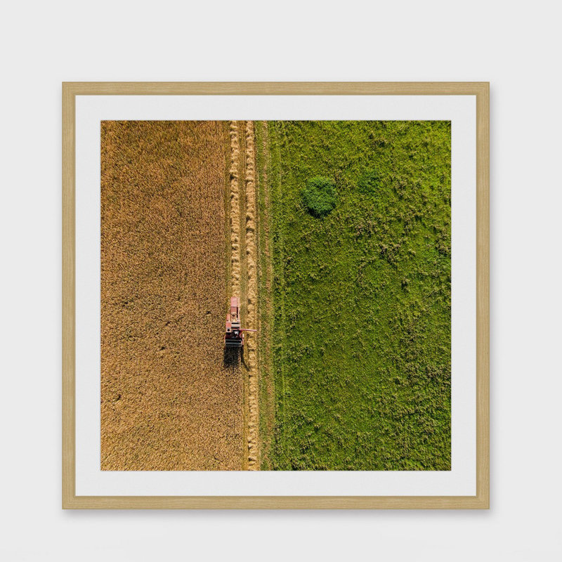 Single Picture Frame Print, 41 cm H x 41 cm W x 3.81 cm D