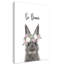 Le lapin est courage-48187577-48187580