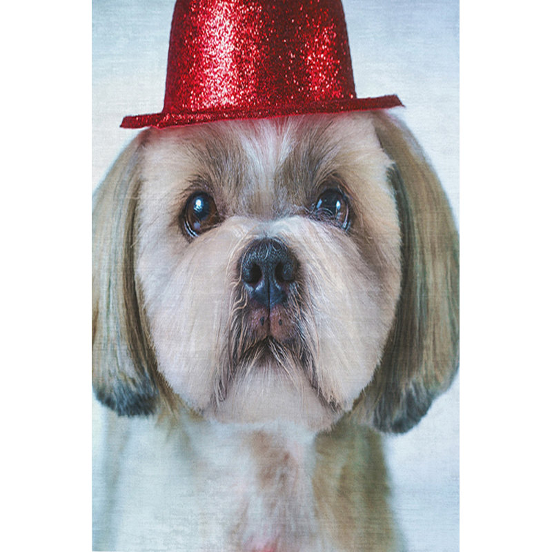 Premium Hall Carpet, 3D Digital Printed, 39.4 x 59.1 Inches | 100% Polyester, Antibacterial, Non-Slip Underside | Pile Height: 0.04 Inches, Machine Washable, Ideal for Living Room & Entryway Decor