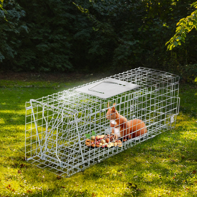 Siphon en fer pour petits animaux, H 8,5 po x l 24 po x P 7,7 po