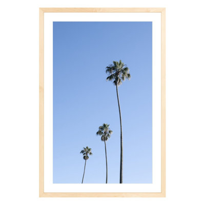 Plants & Flowers Print