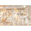 Brutale 14 - Light Chandelier-1114466969