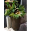 Jardinière à double paroi Callan-31104994-31104993
