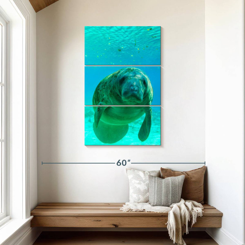 Brampt Swimming Manatee