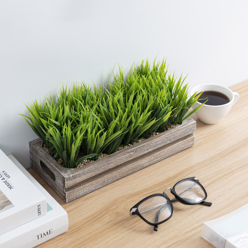 Jerrold 14 cm Artificial Grass in Planter
