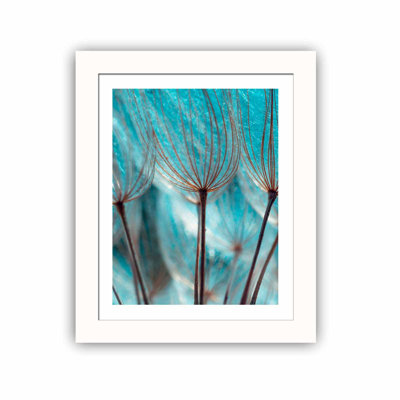 Cactus - Picture Frame Photograph on MDF